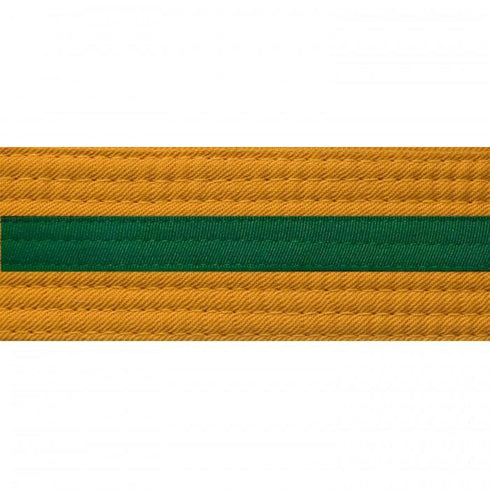 BOLD LOOK GOLD BELTS WITH STRIPE/FOREST GREEN STRIPE-1